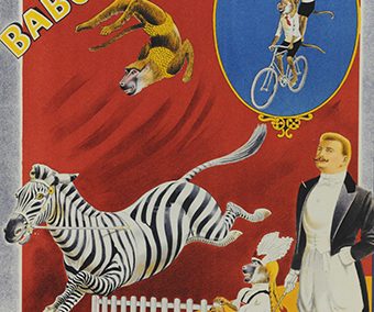 Grais Zebras & Baboons